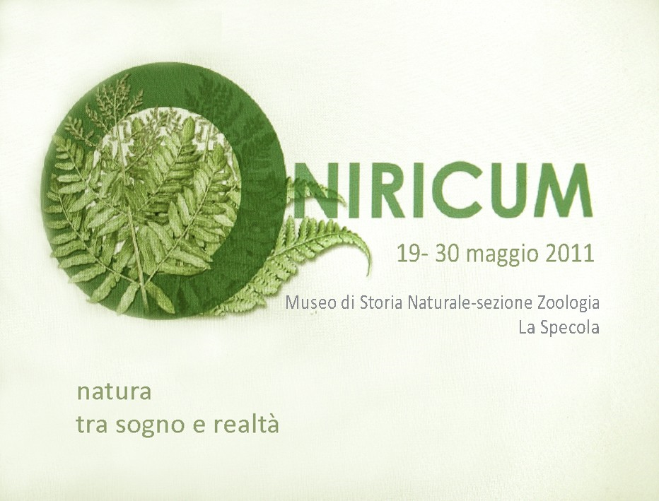 oniricum